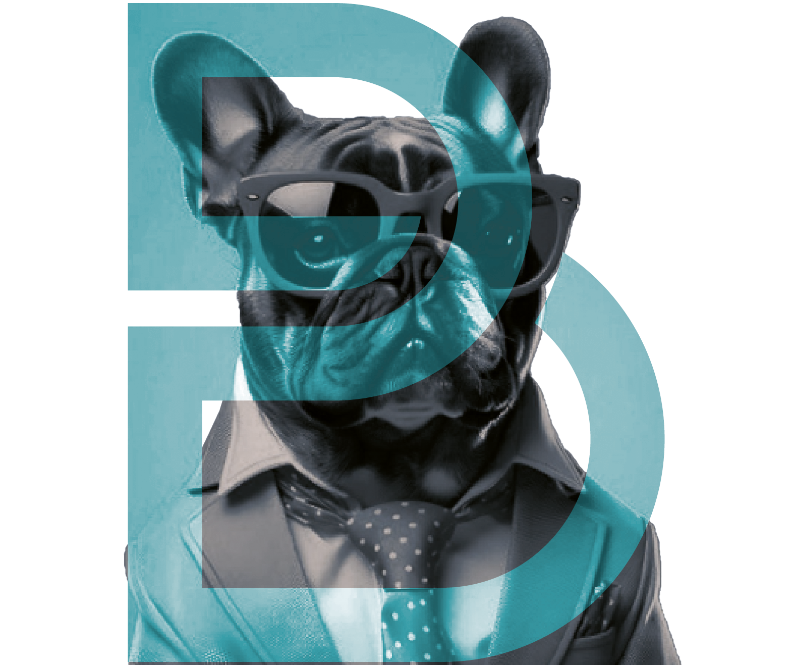 Imagen de bienvenida